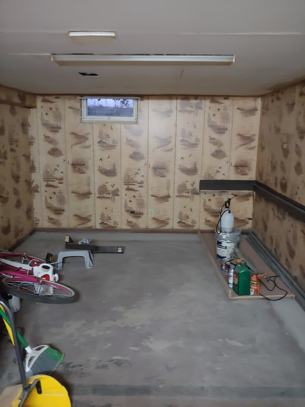 Before basement remodel